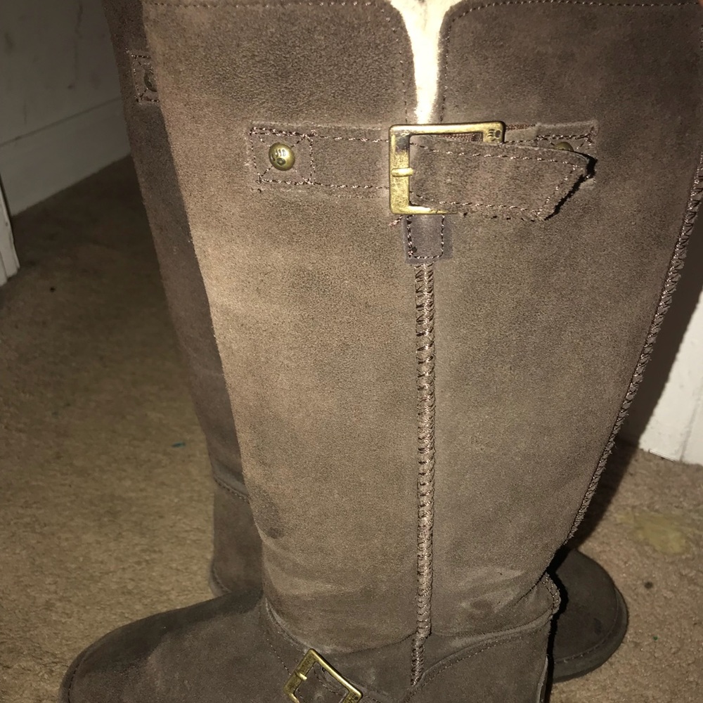 Bear paw tall boots